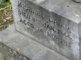 image of grave number 245751